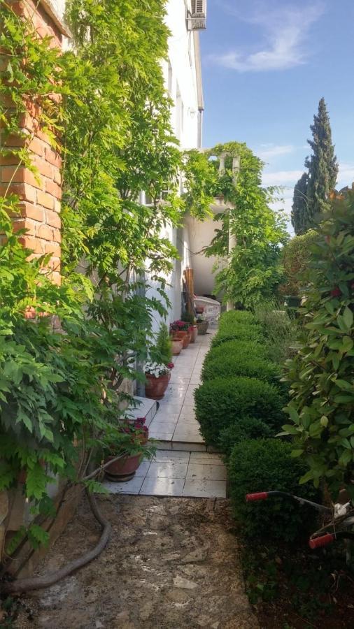 Apartment Jozefina